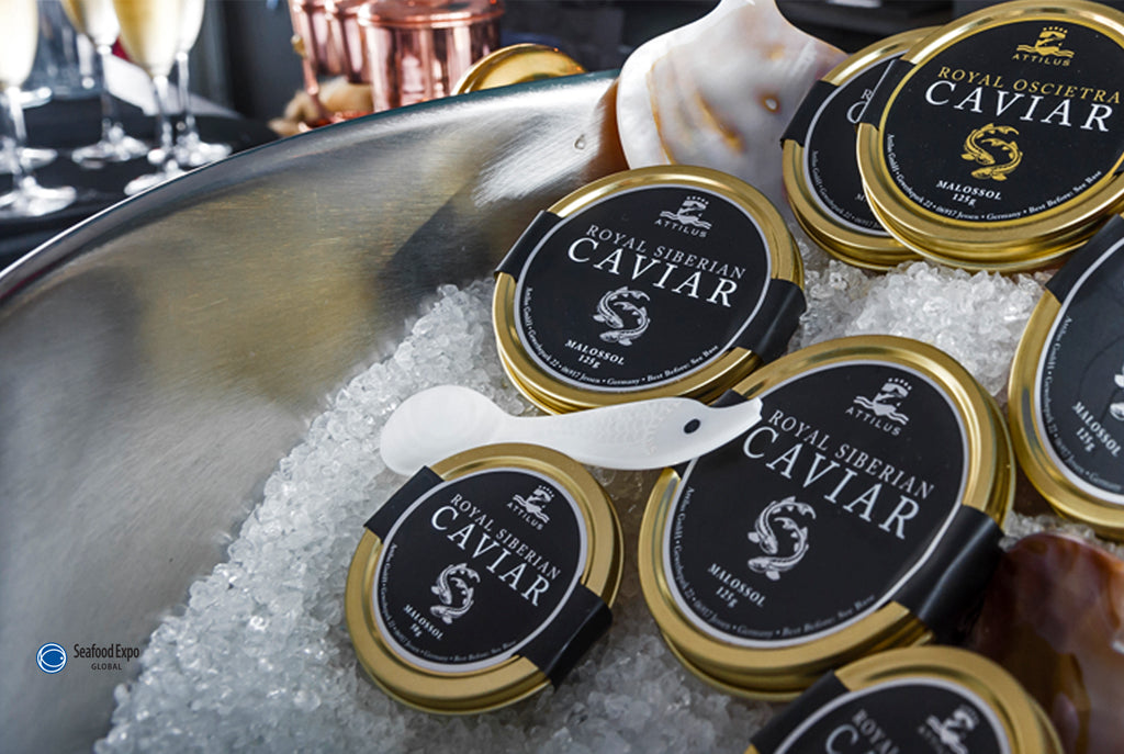 Attilus at the Seafood Expo