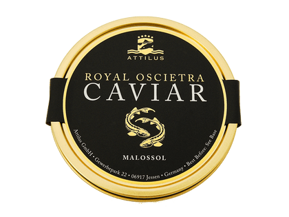 Der Royal Siberian von Attilus Kaviar überzeugt.